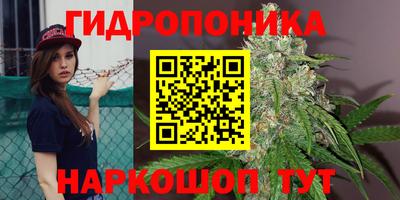стаф Гусев