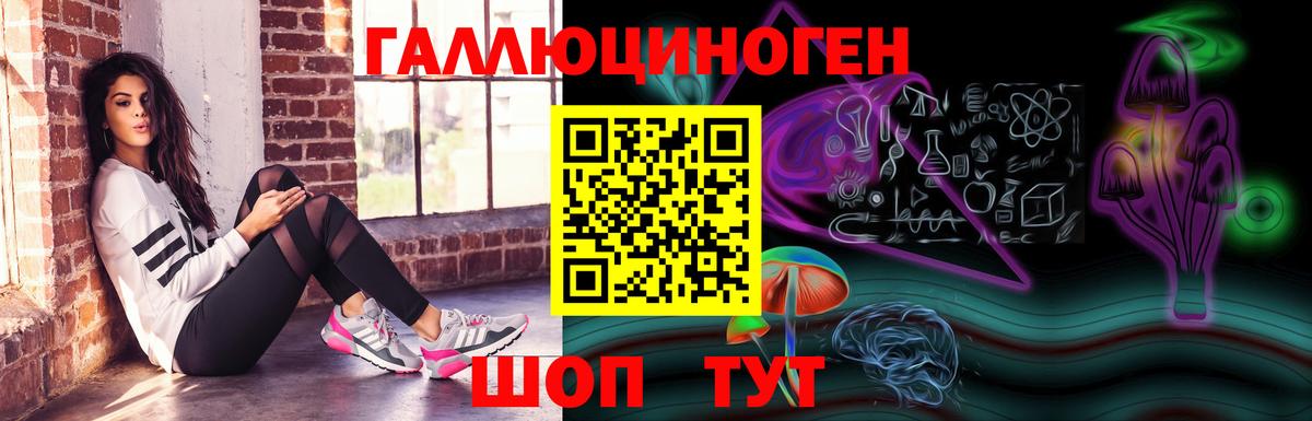 Псилоцибиновые грибы мухоморы  продажа наркотиков  Мурино  Галлюциногенные грибы прущие грибы  Вход с VPN 