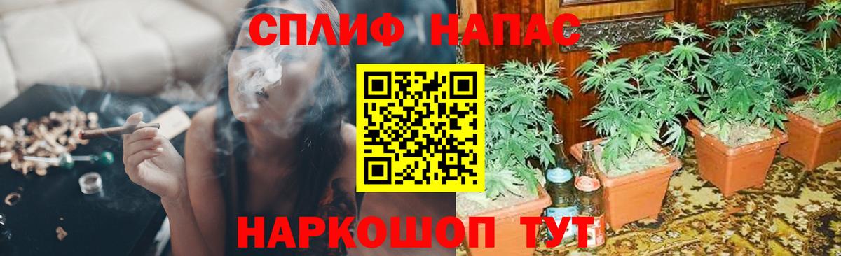 Шишки марихуана AK-47  Шишки марихуана гибрид  Вход с VPN  Конопля индика  МАРИХУАНА план  Мурино 